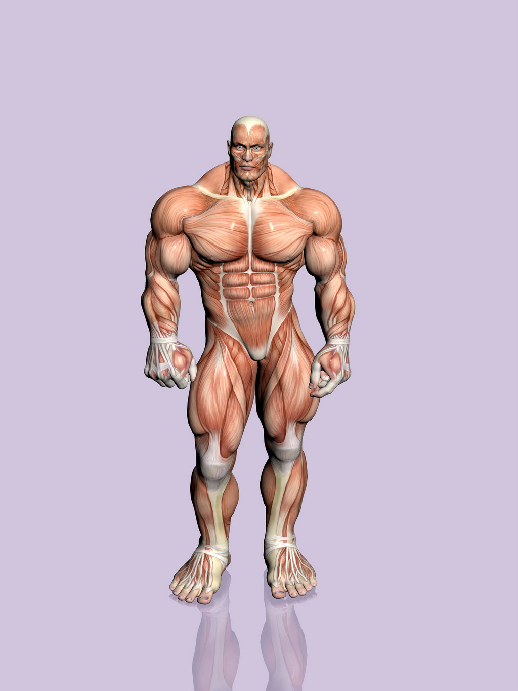 肌肉男,肌肉男图片,肌肉男桌面背景