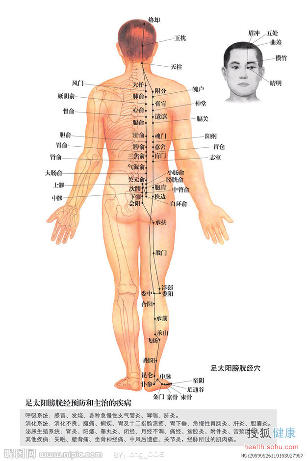 人体经络运行时间